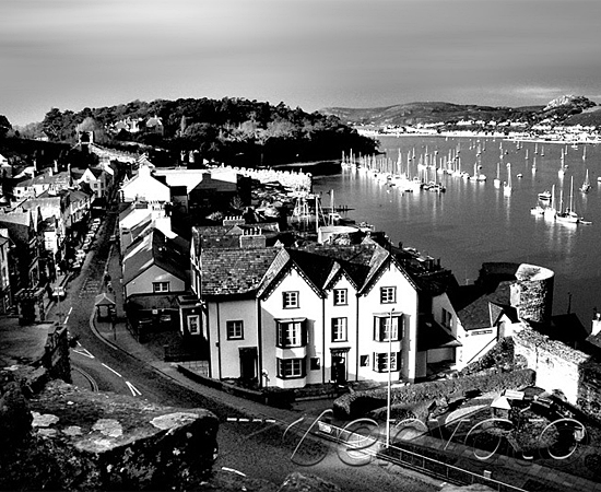 攻击网站的方法